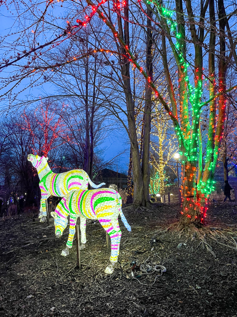 things to do in Lincoln Park : ZooLights