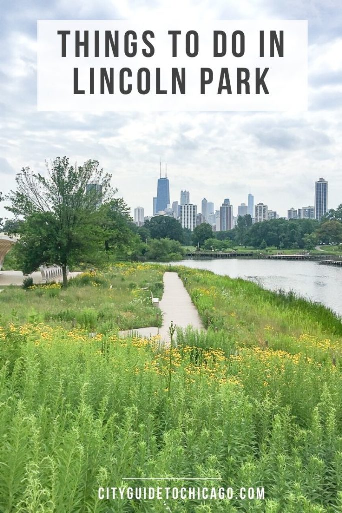 Lincoln Park is a large family friendly neighborhood on the north side of Chicago. There is a wide range of things to do in Lincoln Park including visiting the city's largest park, a free zoo, a popular beach, the lakefront trail, and the city's best farmers market.