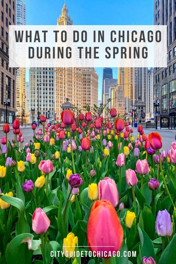 A guide of what to in Chicago in the Spring including the best seasonal activities and special events.