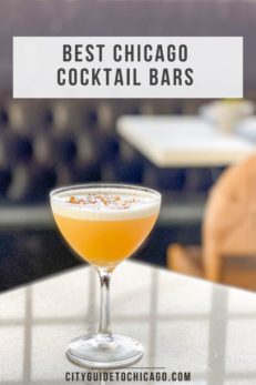 Best Chicago Cocktail Bars - Cityguidetochicago.com